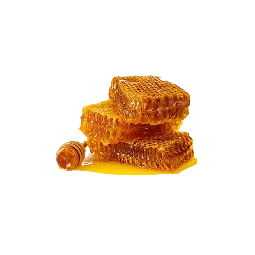 BAL