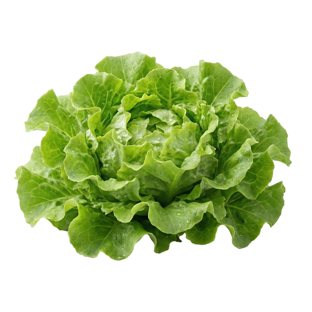 SALATA